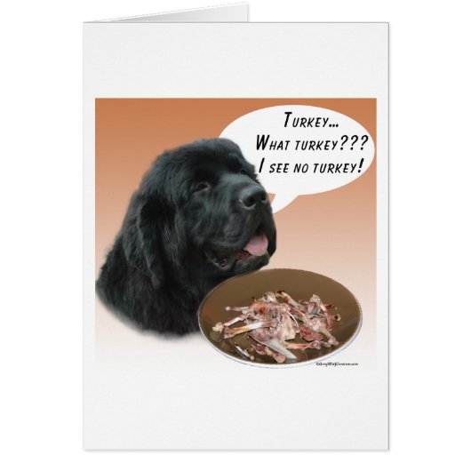 Newfoundland (blk) Turkey Cards (Front)