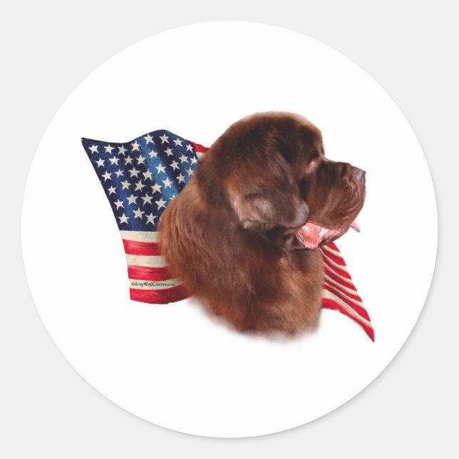 Newfoundland (brown) Flag Classic Round Sticker (Front)