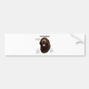 Newfoundland (Brown) History Design Bumper Sticker