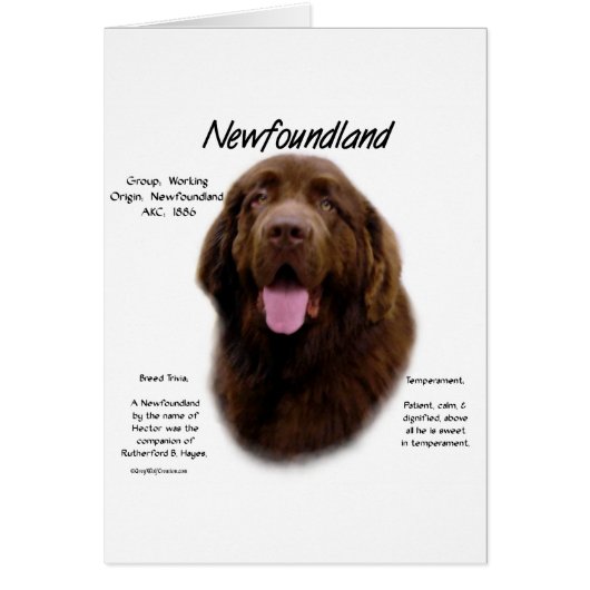 Newfoundland (Brown) History Design Cards (Front)