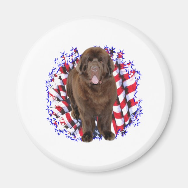Newfoundland (brown) Patriot Magnet (Front)