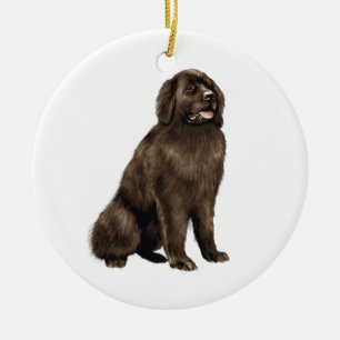 Newfoundland - brown sit ceramic ornament