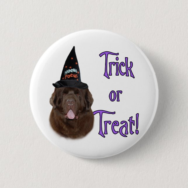 Newfoundland (brown) Trick Button (Front)