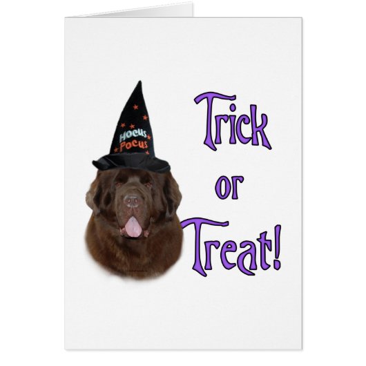 Newfoundland (brown) Trick Cards (Front)