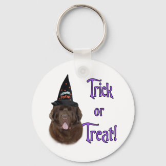 Newfoundland (brown) Trick Keychain