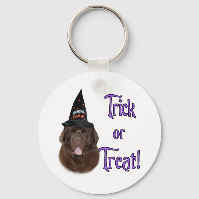 Newfoundland (brown) Trick Keychain (Front)
