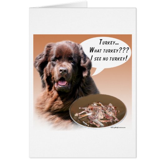 Newfoundland (brown) Turkey Cards (Front)