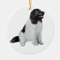 Newfoundland (C) - Landseer #1