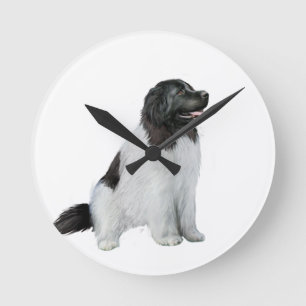 Newfoundland (C) - Landseer #1 Round Clock