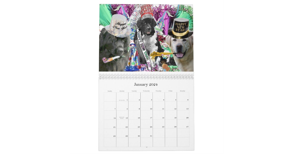 Newfoundland Calendar Zazzle