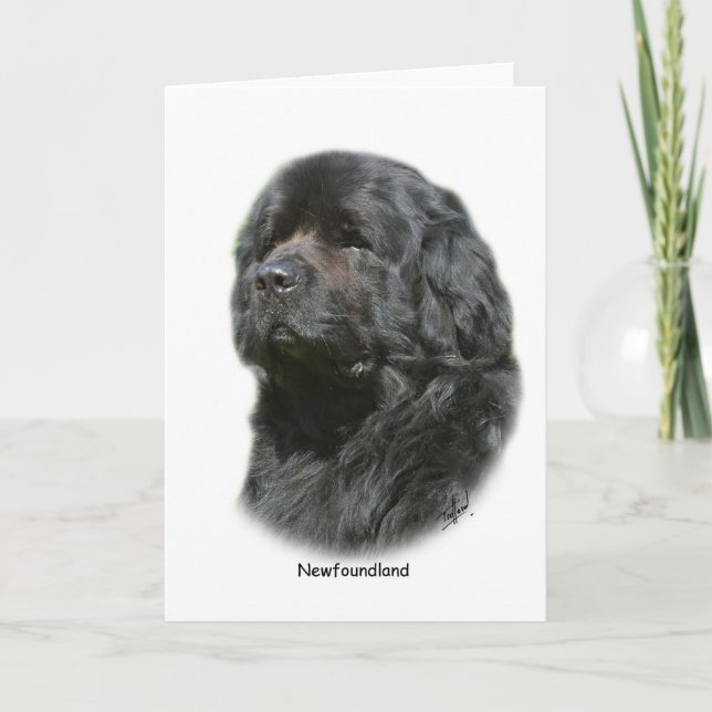 Newfoundland Card (Front)