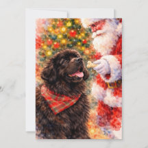 Newfoundland Christmas Card - With Santa