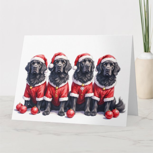 Newfoundland Christmas Dress Santa Hat Card (Front)