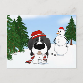 Newfoundland Christmas Holiday Postcard