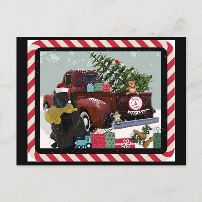 Newfoundland Christmas Holiday Postcard (Front)