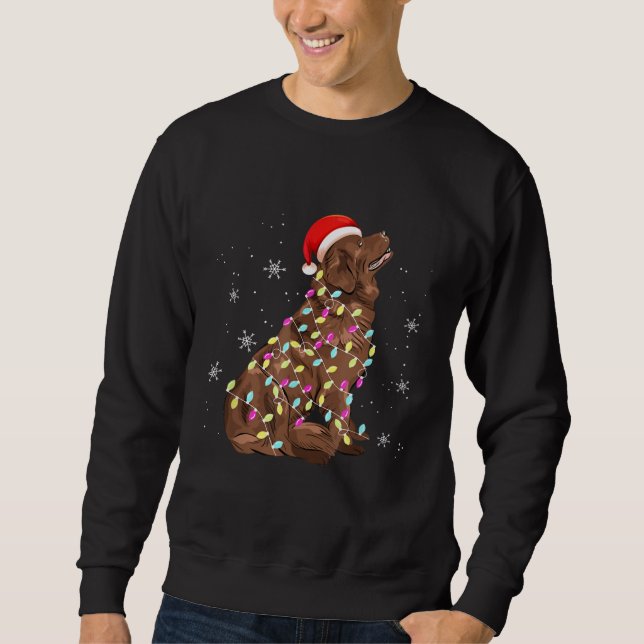 Newfoundland Christmas Light | Funny Dog Lover Sweatshirt (Front)
