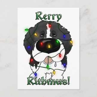 Newfoundland Christmas Lights Holiday Postcard