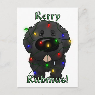 Newfoundland Christmas Lights Holiday Postcard