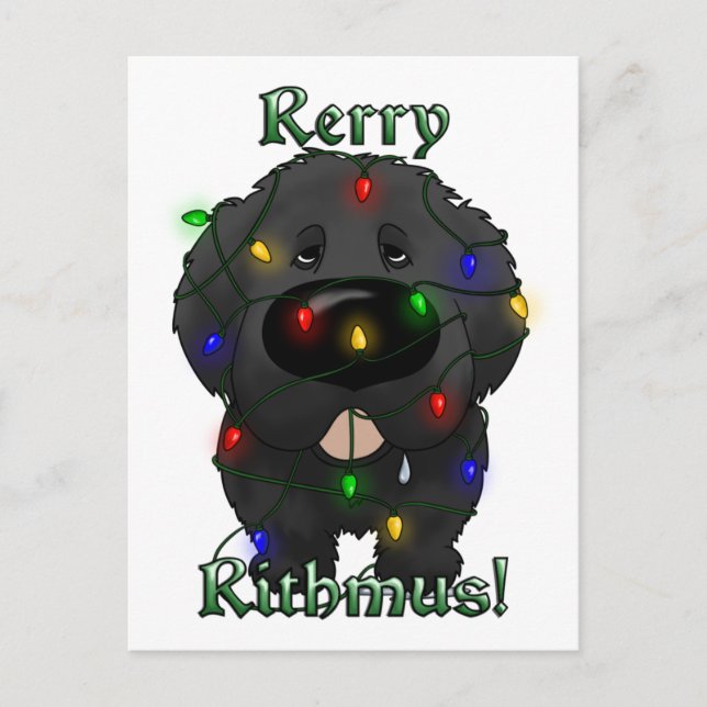 Newfoundland Christmas Lights Holiday Postcard (Front)