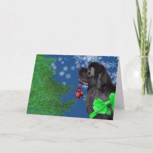 Newfoundland Christmas Ornament Holiday Card