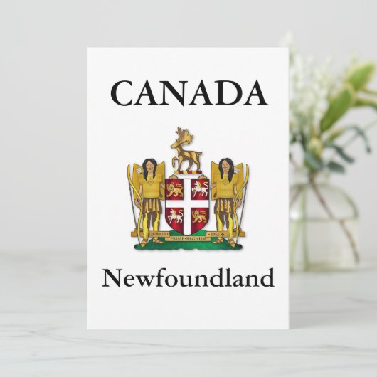Newfoundland coat of arms (Standing Front)