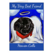 Newfoundland Dog (Front)