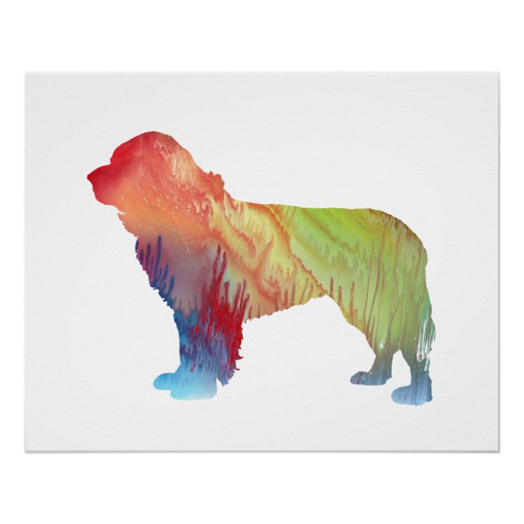 Newfoundland Dog Art Poster Zazzle
