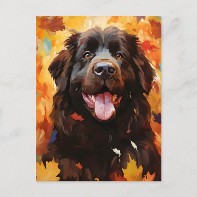 Newfoundland dog Autumn Thanksgiving  Postcard (Front)