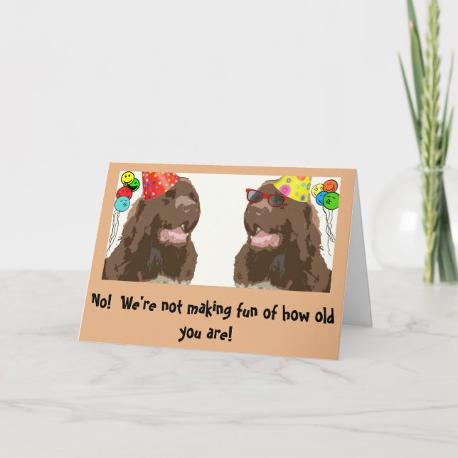 Newfoundland Dog Birthday humor Card (Front)
