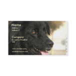 Newfoundland Dog Business Card