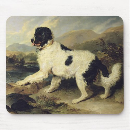 Newfoundland Dog Called Lion 1824 oil on canvas Mouse Pad