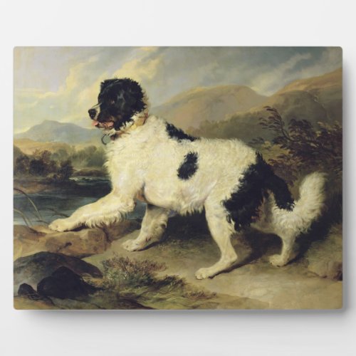 Newfoundland Dog Called Lion 1824 oil on canvas Plaque