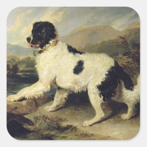 Newfoundland Dog Called Lion 1824 oil on canvas Square Sticker