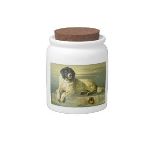 Newfoundland Dog Candy Jar