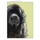 Newfoundland dog Card (Front)