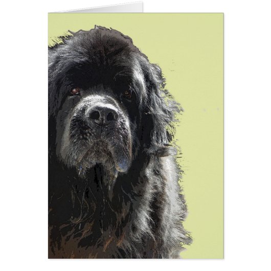 Newfoundland dog Card (Front)