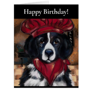 Newfoundland Dog Cards