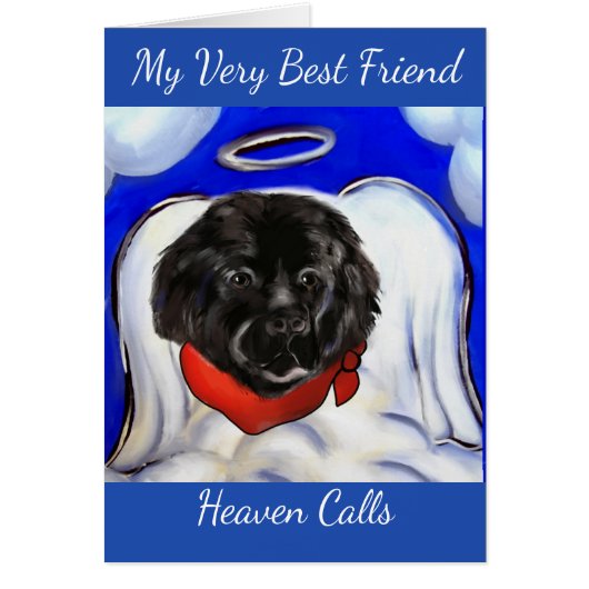 Newfoundland Dog Cards (Front)