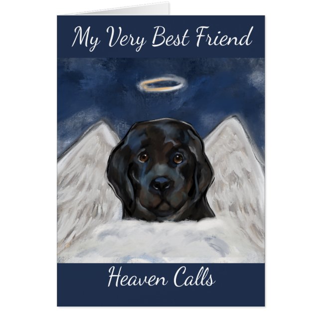 Newfoundland Dog Cards (Front)