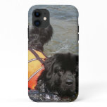 Newfoundland Dog iPhone 11 Case
