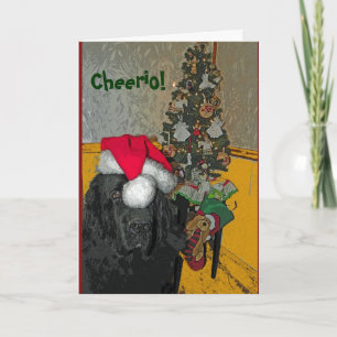 Newfoundland Dog Christmas Card