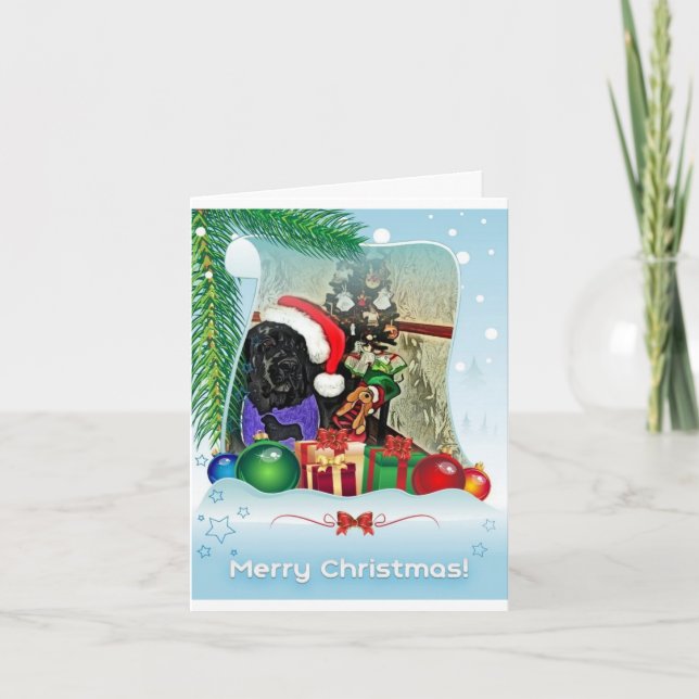 Newfoundland dog Christmas Card (Front)