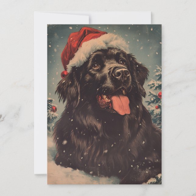 Newfoundland dog Christmas  Holiday Card (Front)
