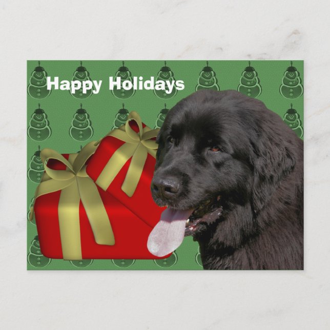 Newfoundland Dog Christmas Holiday Postcard (Front)