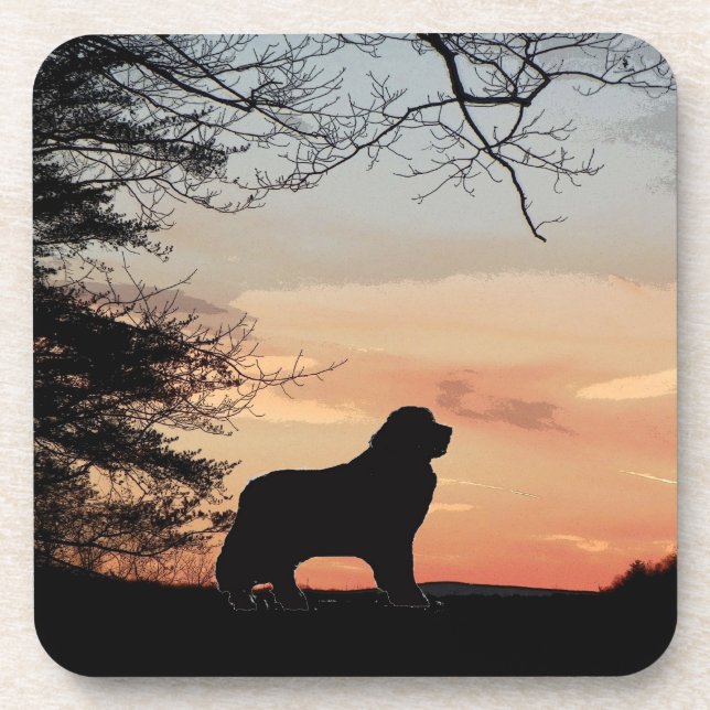 Newfoundland dog coasters (Front)