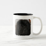 Newfoundland Dog Coffee Mug