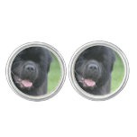 Newfoundland Dog Cufflinks