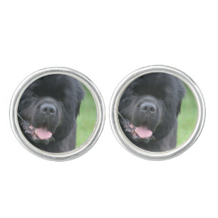 Newfoundland Dog Cufflinks