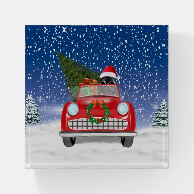 Newfoundland Dog Driving Car In Snow Christmas  Paperweight (Front)