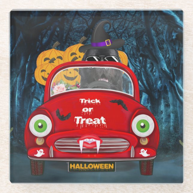 Newfoundland Dog Driving Car Scary Halloween Glass Coaster (Front)